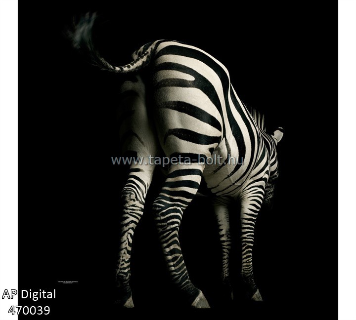 AP Digital 470039