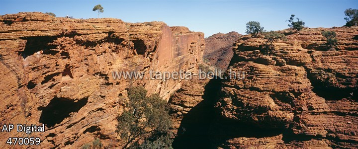 AP Digital 470059