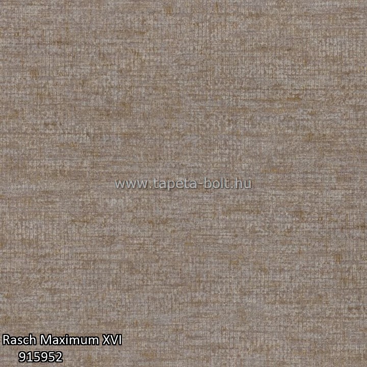 Rasch Maximum XVI 915952