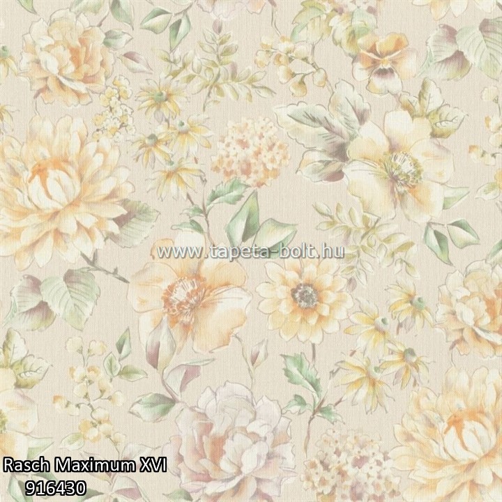 Rasch Maximum XVI 916430