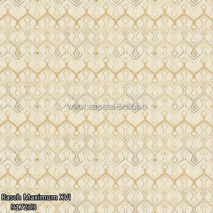 Rasch Maximum XVI 917253