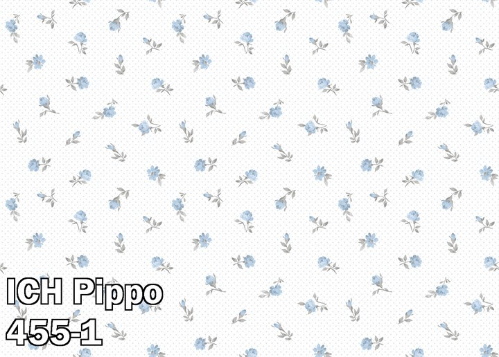 ICH Pippo 455-1