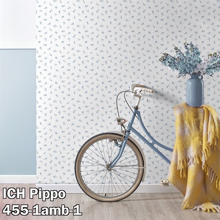 ICH Pippo 455-1amb-1