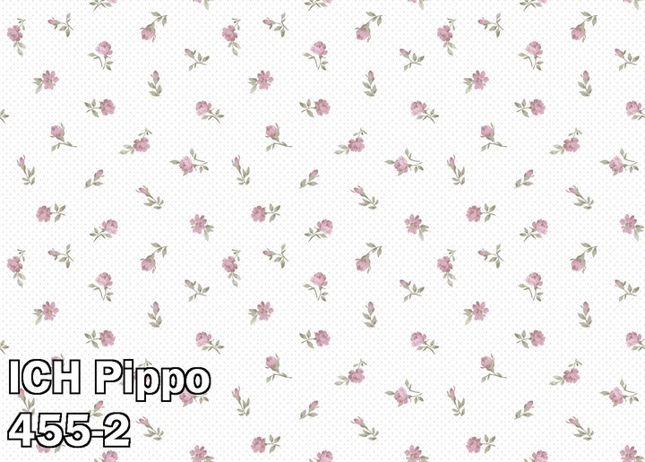 ICH Pippo 455-2