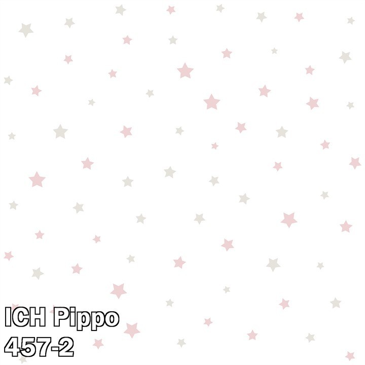 ICH Pippo 457-2