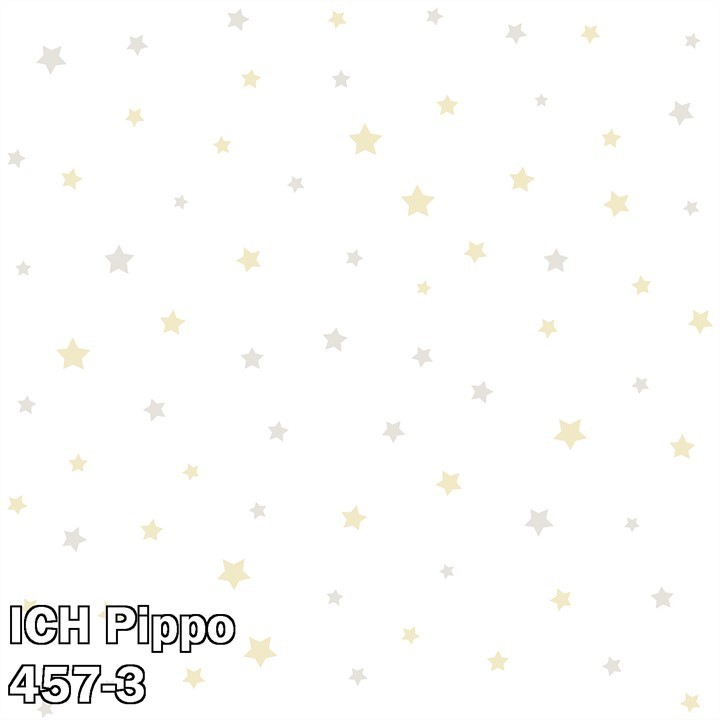 ICH Pippo 457-3