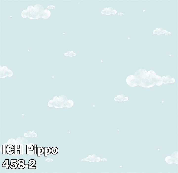 ICH Pippo 458-2
