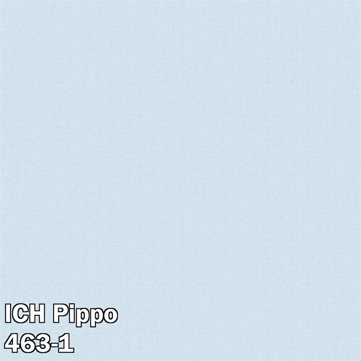 ICH Pippo 463-1