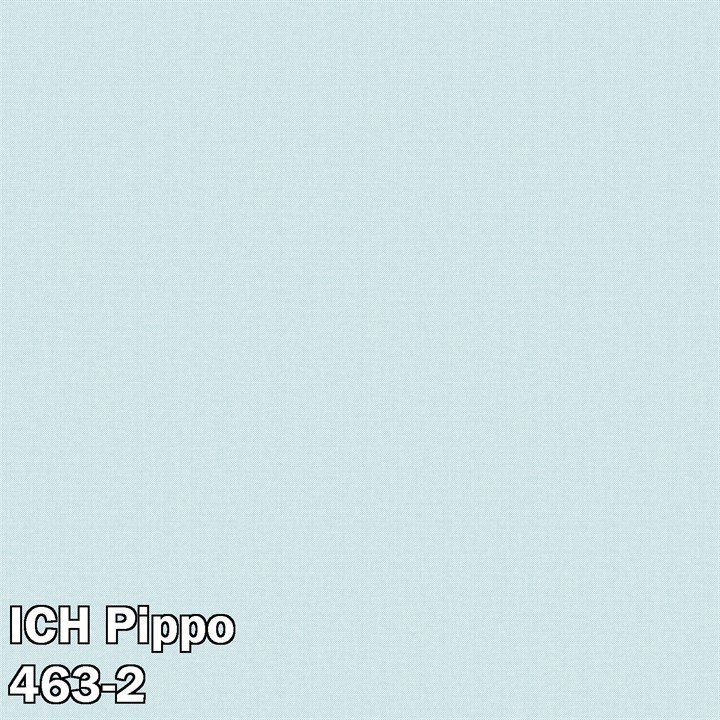ICH Pippo 463-2