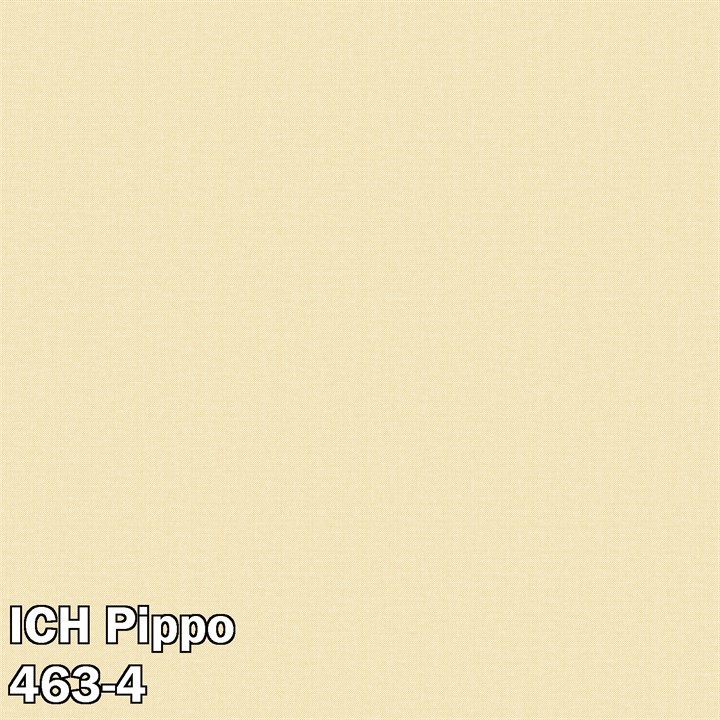 ICH Pippo 463-4