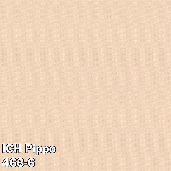 ICH Pippo 463-6