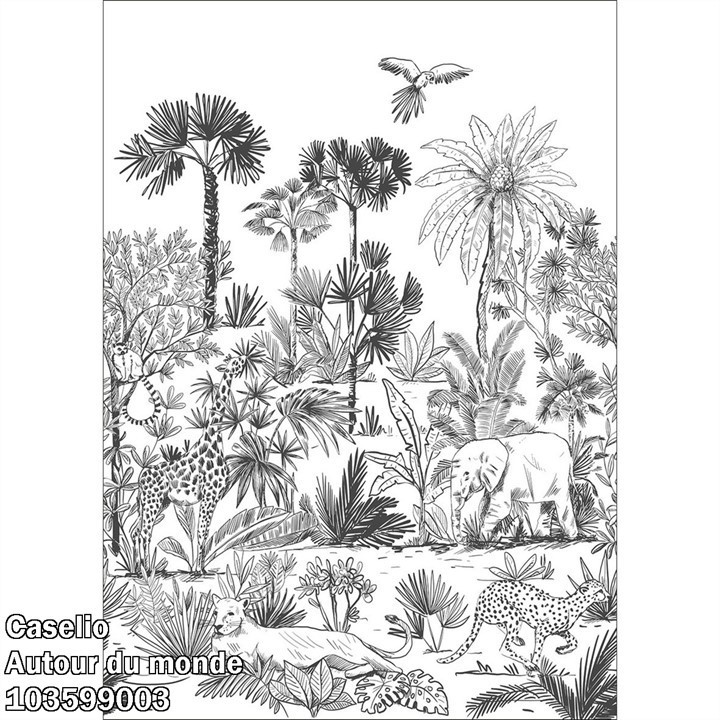 Caselio Autour du monde ADM103599003