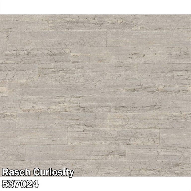 Rasch Curiosity 537024