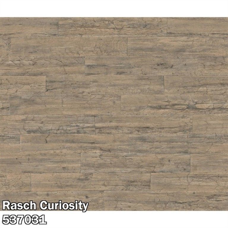Rasch Curiosity 537031