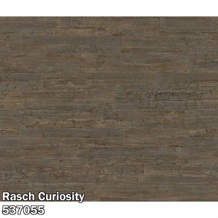 Rasch Curiosity 537055