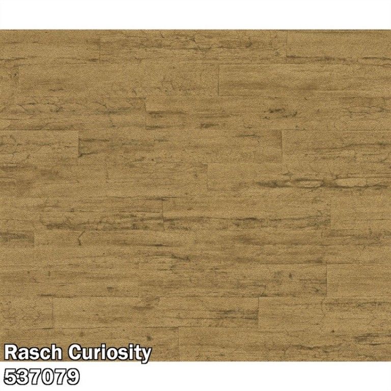 Rasch Curiosity 537079