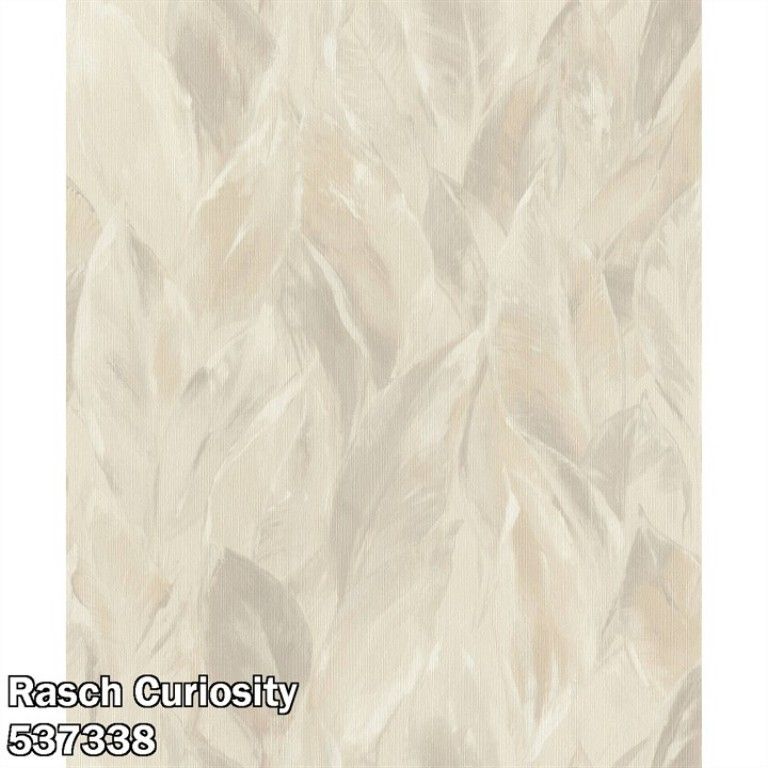 Rasch Curiosity 537338