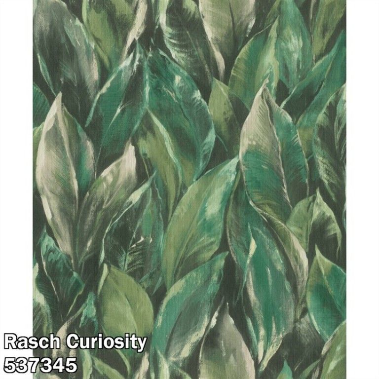 Rasch Curiosity 537345