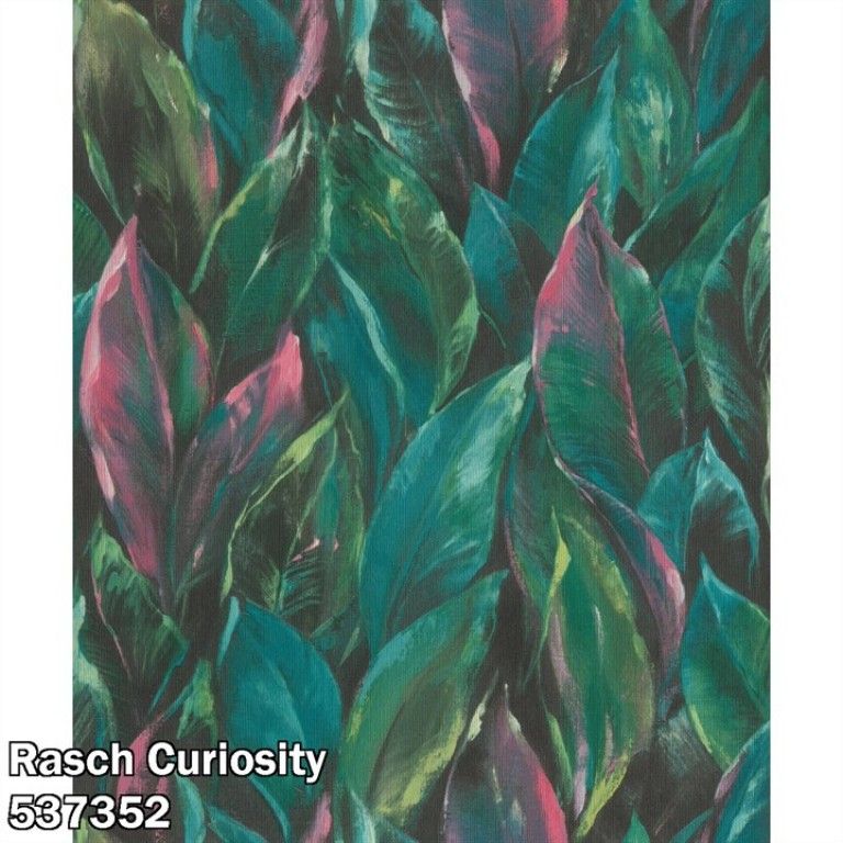 Rasch Curiosity 537352