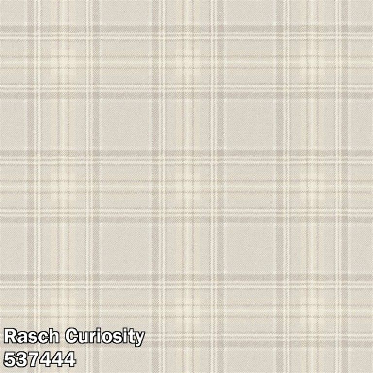 Rasch Curiosity 537444