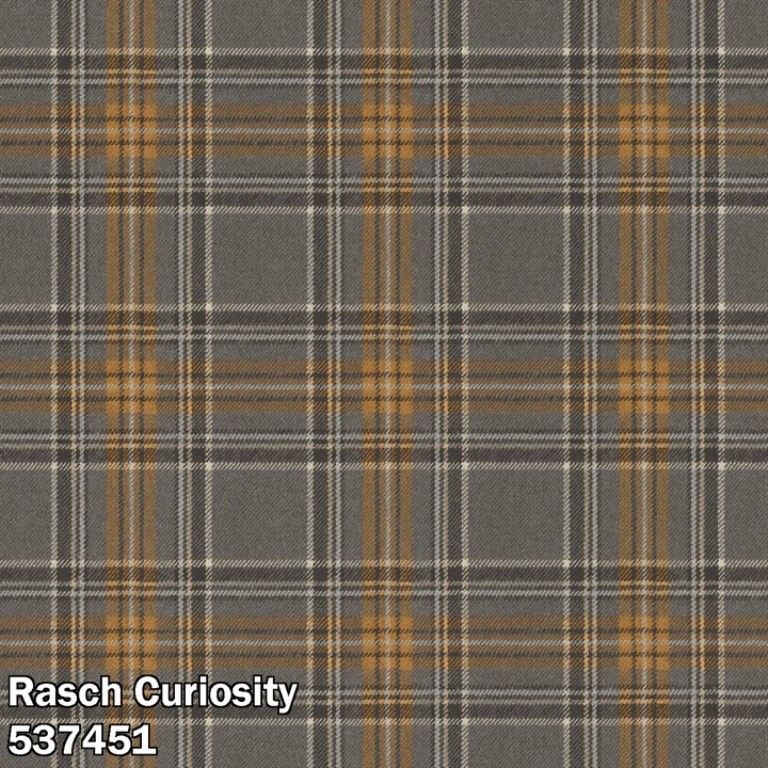 Rasch Curiosity 537451