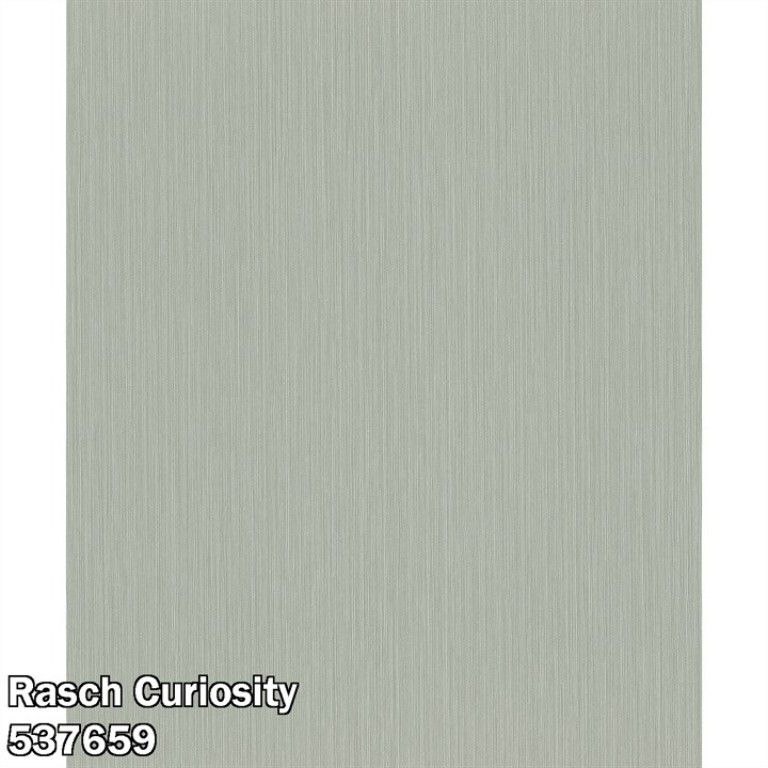 Rasch Curiosity 537659