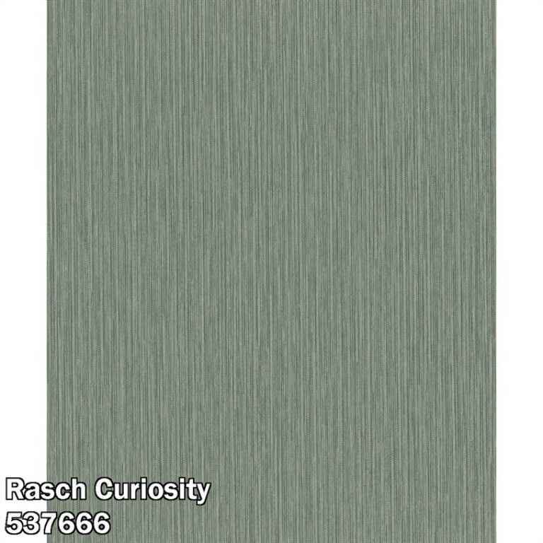 Rasch Curiosity 537666