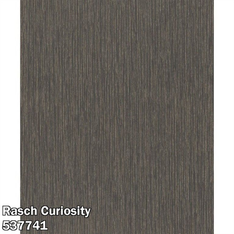 Rasch Curiosity 537741