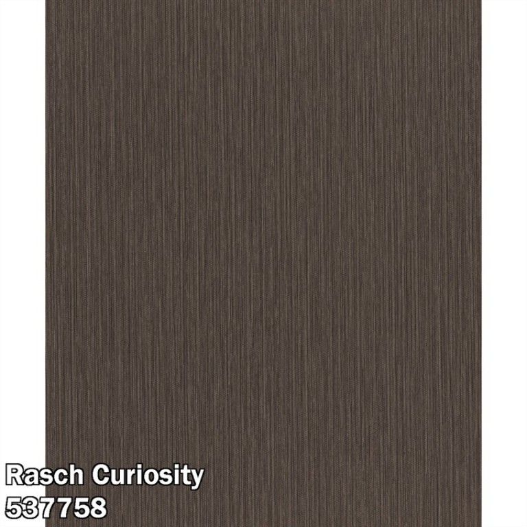 Rasch Curiosity 537758