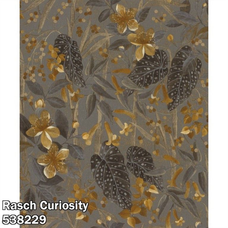 Rasch Curiosity 538229