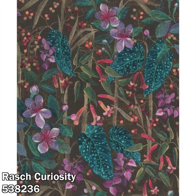 Rasch Curiosity 538236