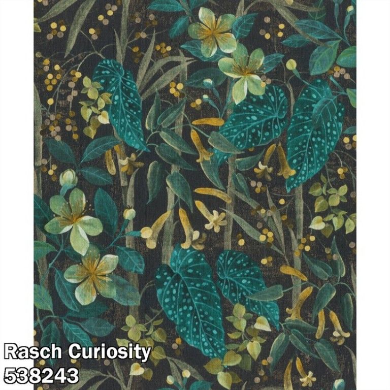 Rasch Curiosity 538243