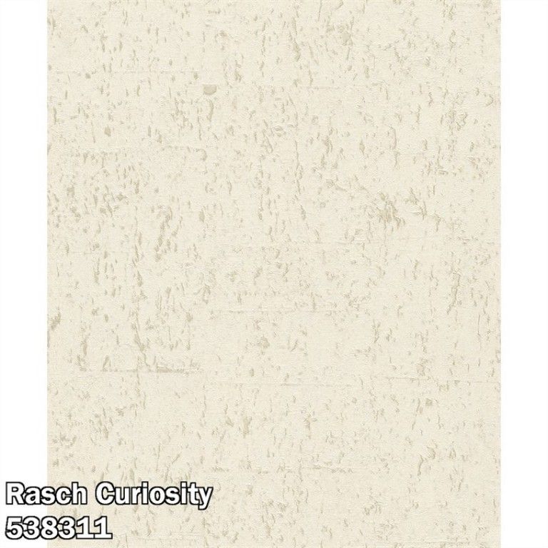 Rasch Curiosity 538311