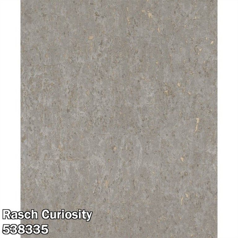 Rasch Curiosity 538335