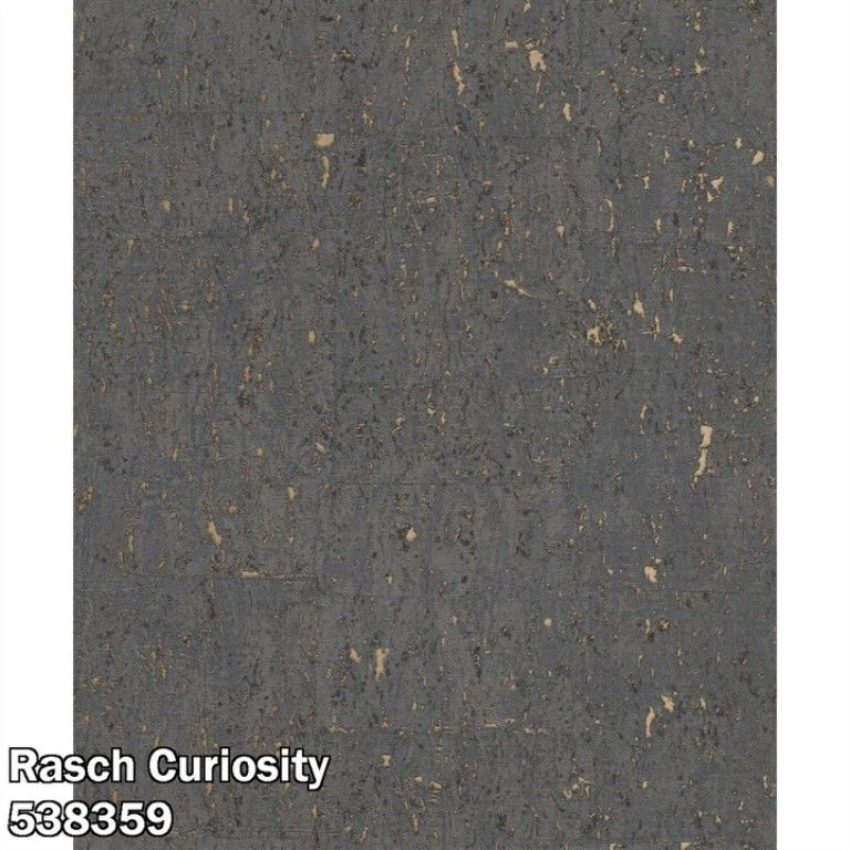 Rasch Curiosity 538359
