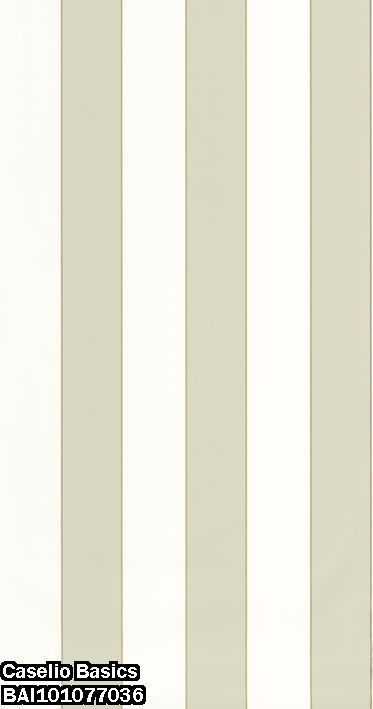 Caselio Basics BAI101077036