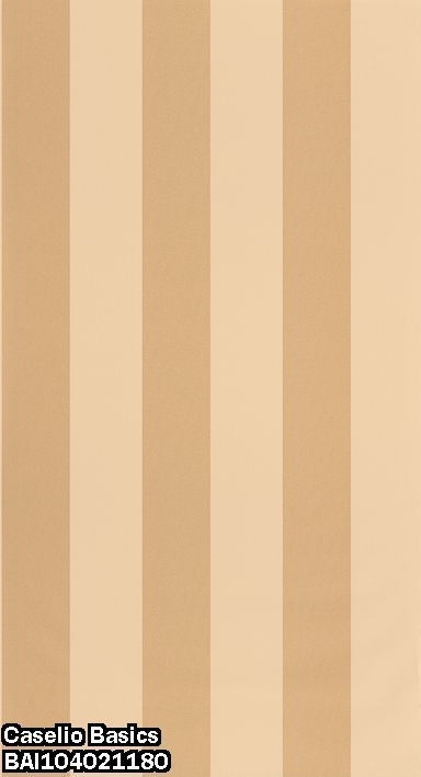 Caselio Basics BAI104021180