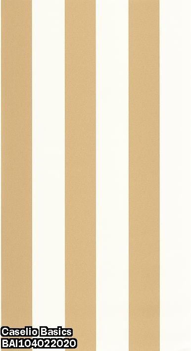 Caselio Basics BAI104022020