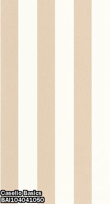 Caselio Basics BAI104041050