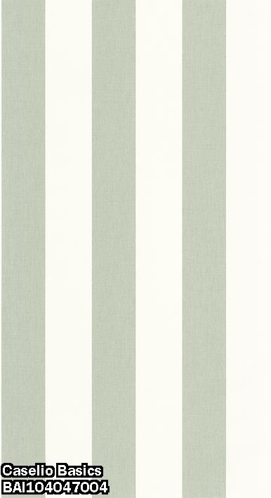 Caselio Basics BAI104047004