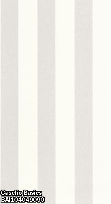 Caselio Basics BAI104049090