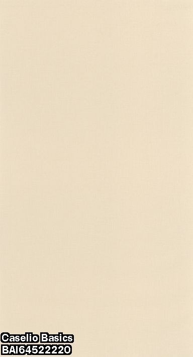 Caselio Basics BAI64522220