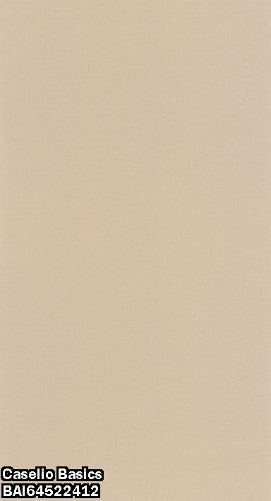 Caselio Basics BAI64522412