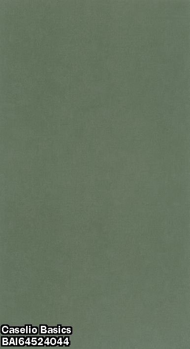 Caselio Basics BAI64524044