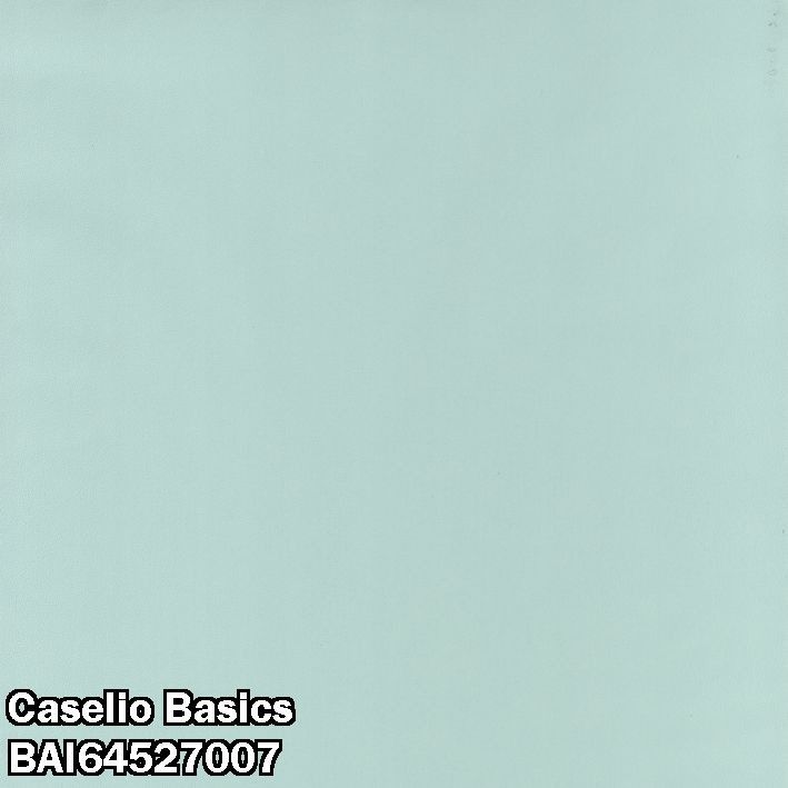 Caselio Basics BAI64527007