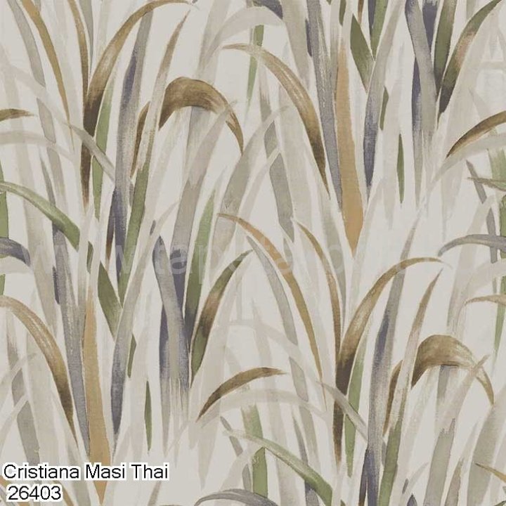 Cristiana Masi Thai 26403