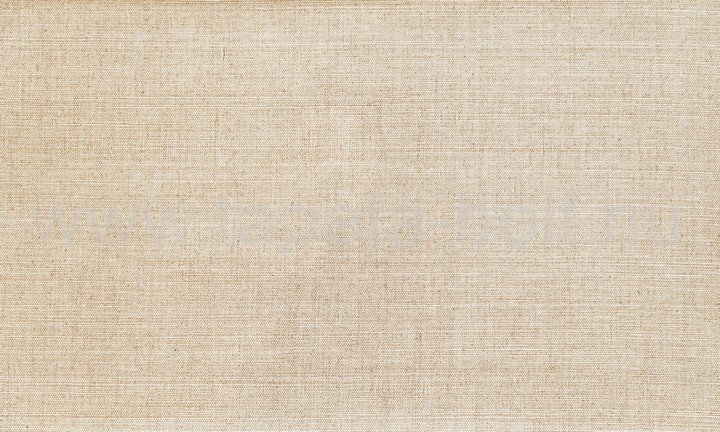 Arte Oculaire Pattern Line