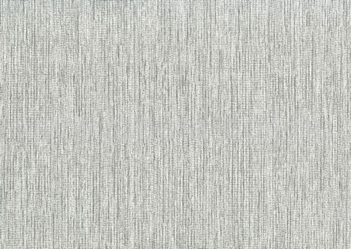 Zeno88919