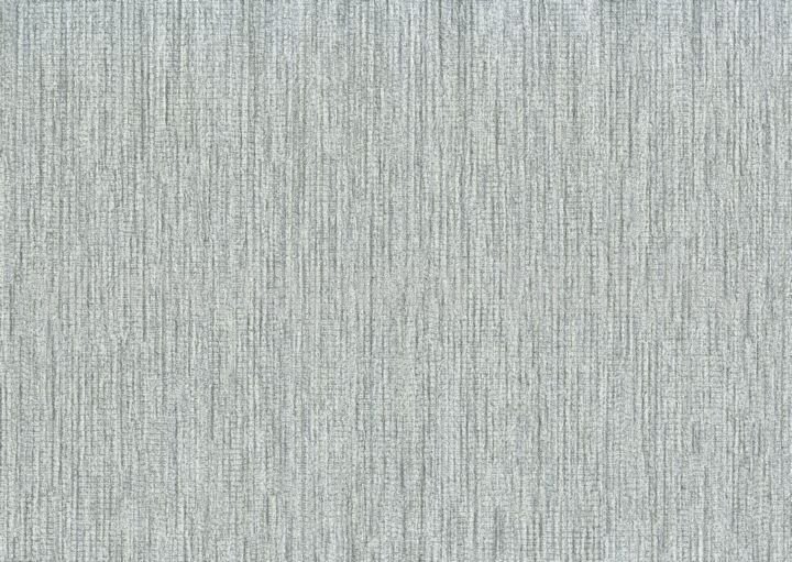 Zeno88923