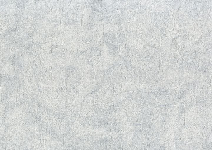 Zeno88947